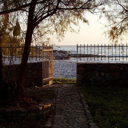 Elpidas Holiday House Kardhamili Bagian luar foto
